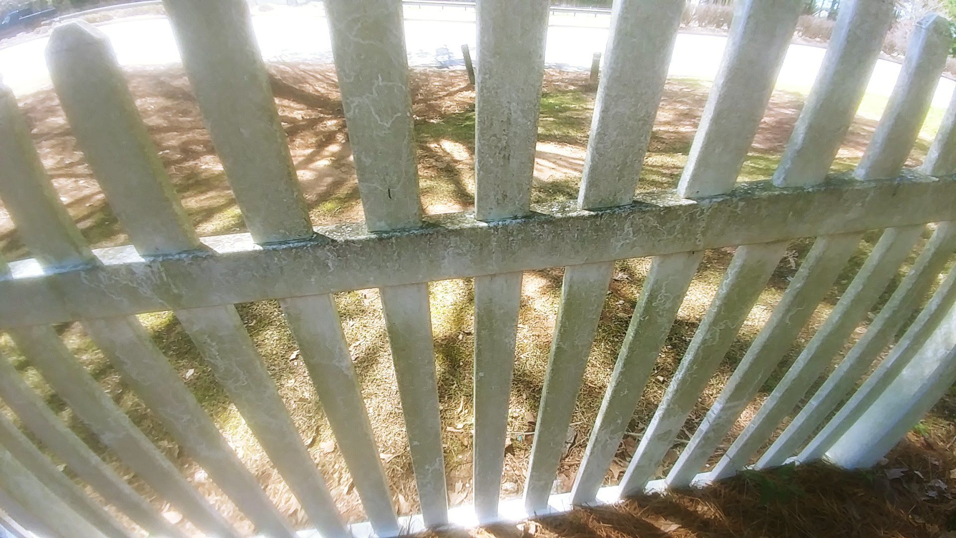 A close up of a white picket fence with a tree in the background.