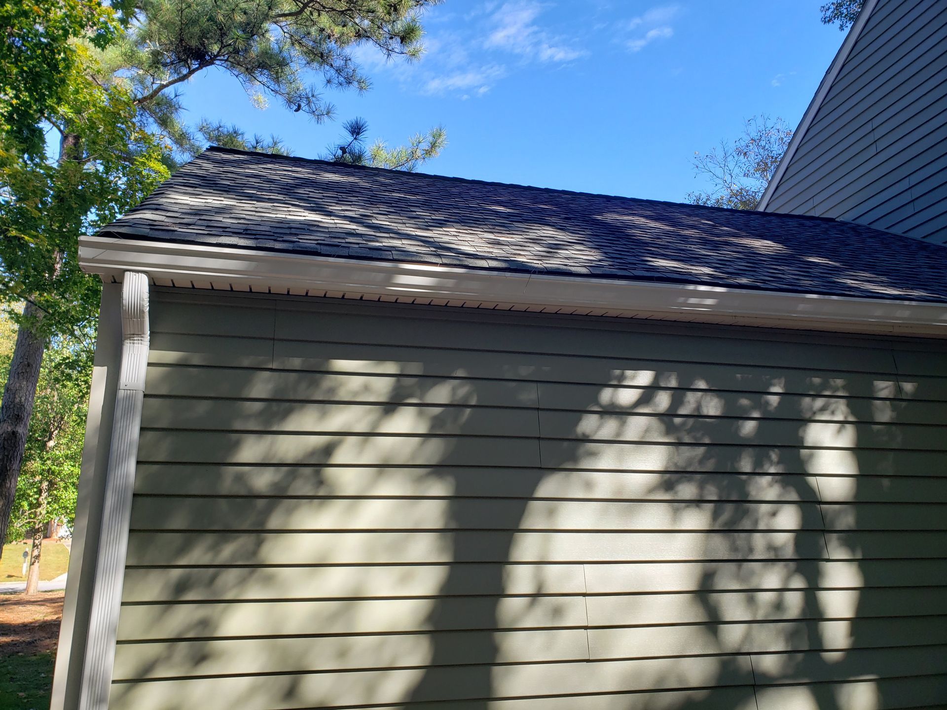 A green house with a black roof and a tree in the background.