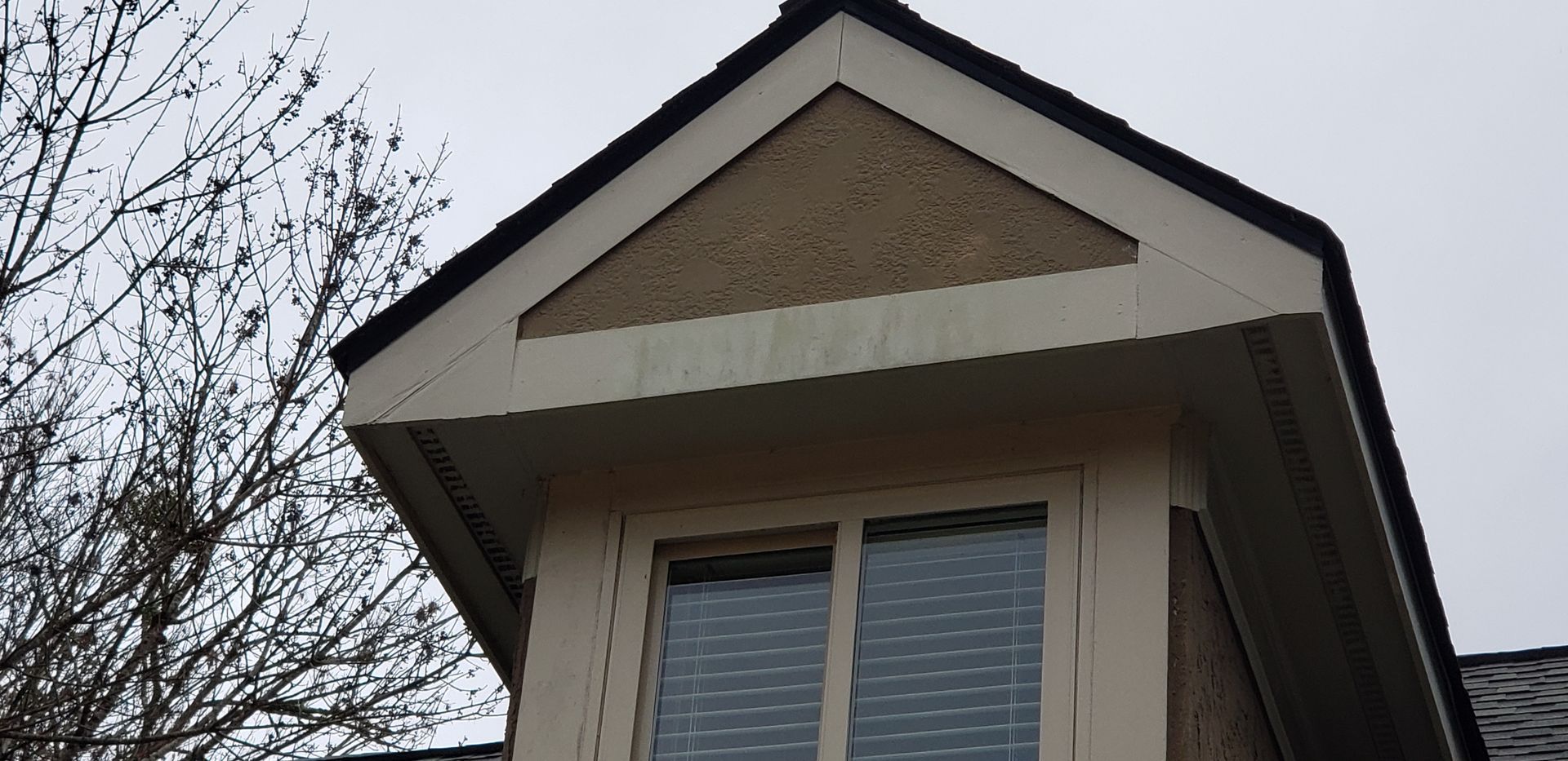 The roof of a house with a window and a tree in the background.