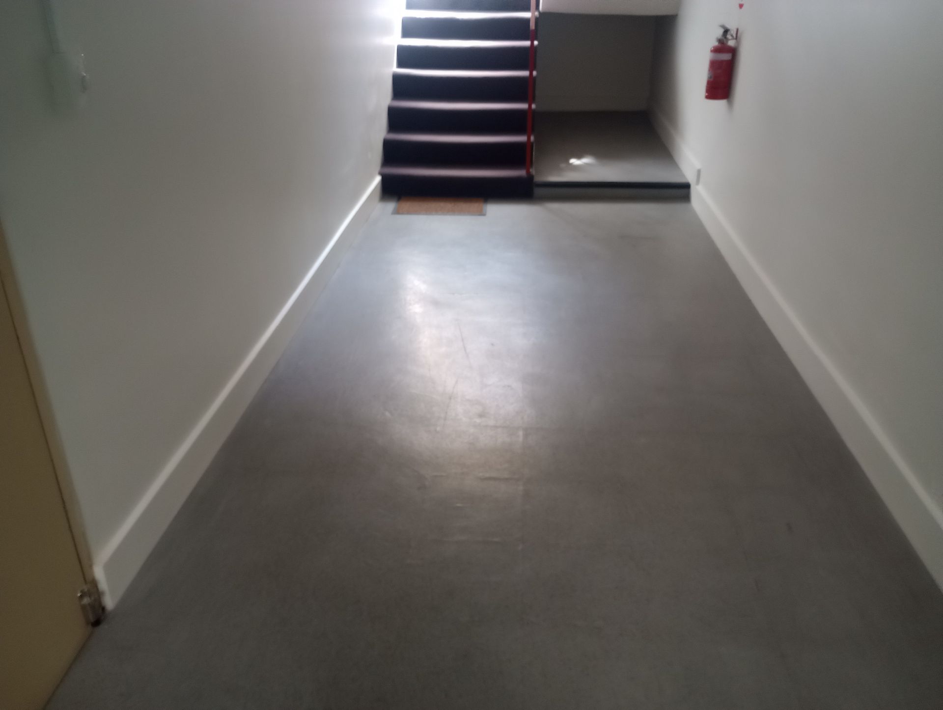 Crack Repair and Rising Damp Treatment after