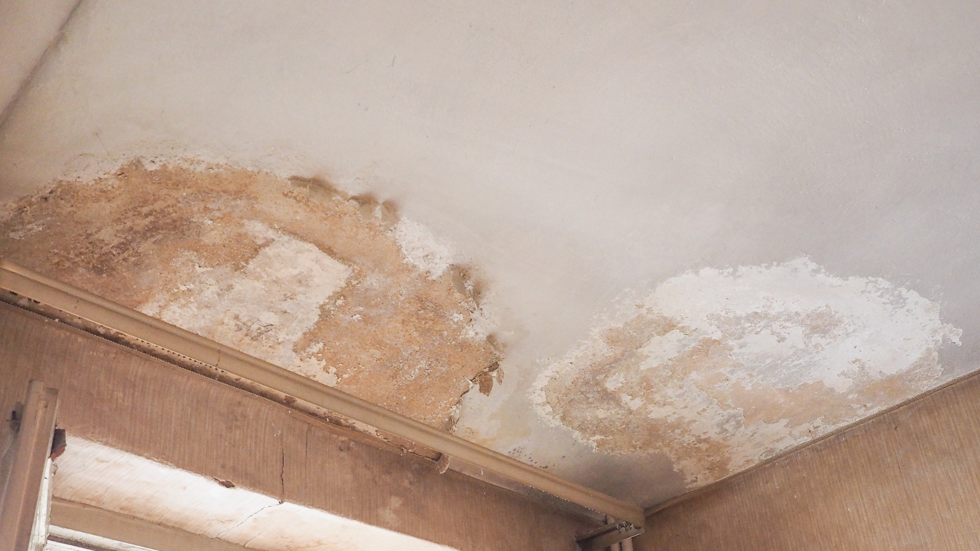 rising damp solutions South Yarra