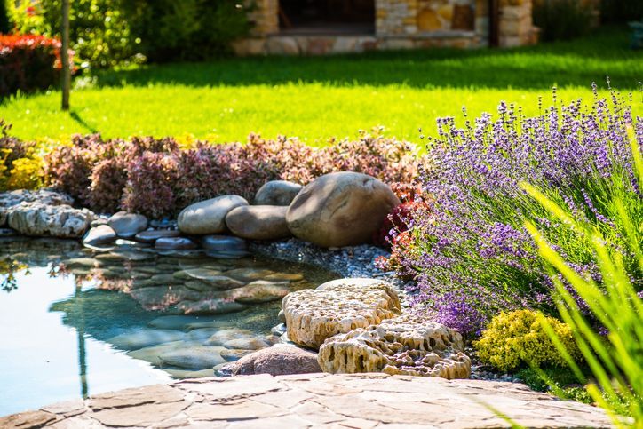 Beautiful backyard landscape design