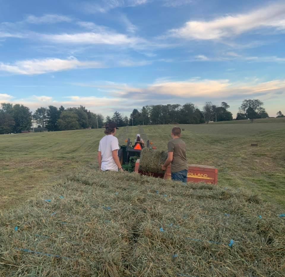 Two people loading hay bales onto a trailer in a field. Tractor in background, blue sky.