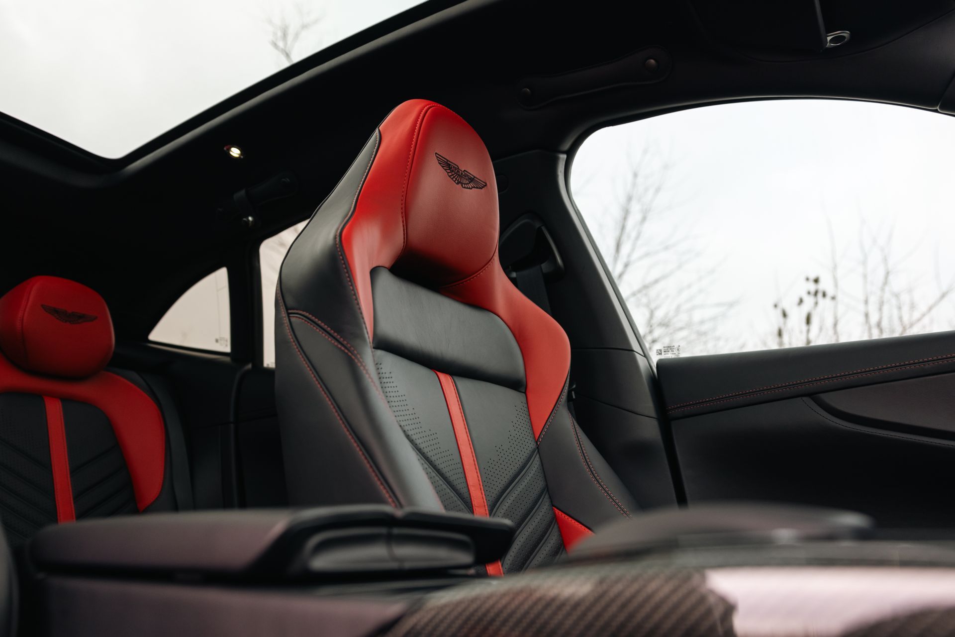 Red sports car door with black carbon-fiber interior panel and visible side mirror