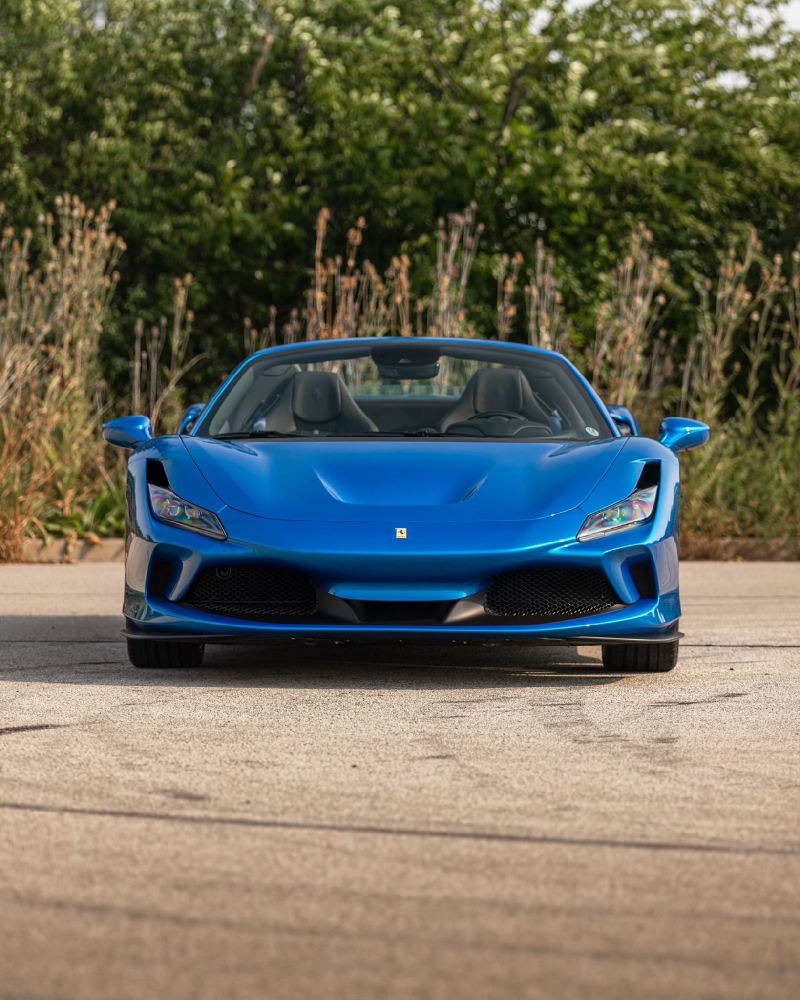 Blue Ferrari sports car viewed from the front, parked on a road with green trees behind.