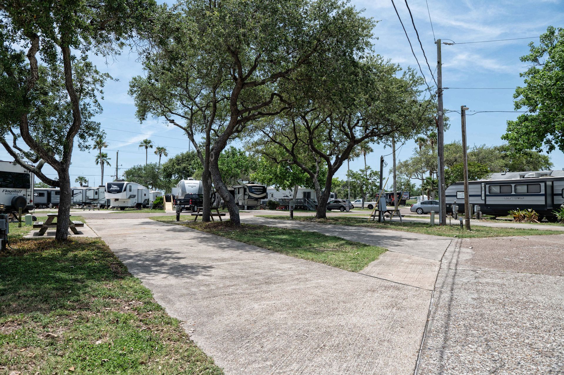 Park walkway with trees, grassy edges, and a parked bus along a street under a clear sky