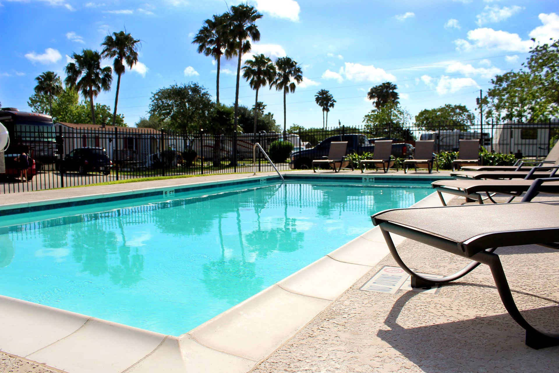 Sunny outdoor pool with lounge chairs, palm trees, and clear blue water