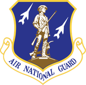 Air National Guard emblem: Patriot with rifle, two jets, blue and gold shield.