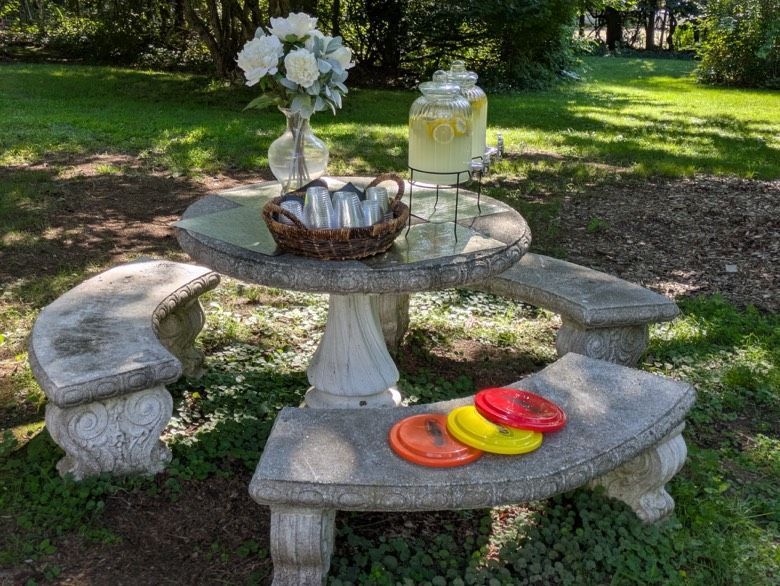 Stone picnic table with benches in a grassy yard, featuring flowers, lemonade, and frisbees.