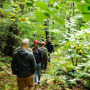 Group of people hiking single-file on a forest trail, surrounded by green foliage.