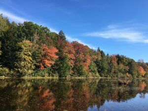 A lake surrounded by trees on a sunny day with fall foliage colors