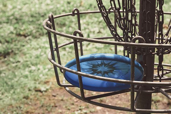 Blue disc golf disc in a metal basket on a green lawn.