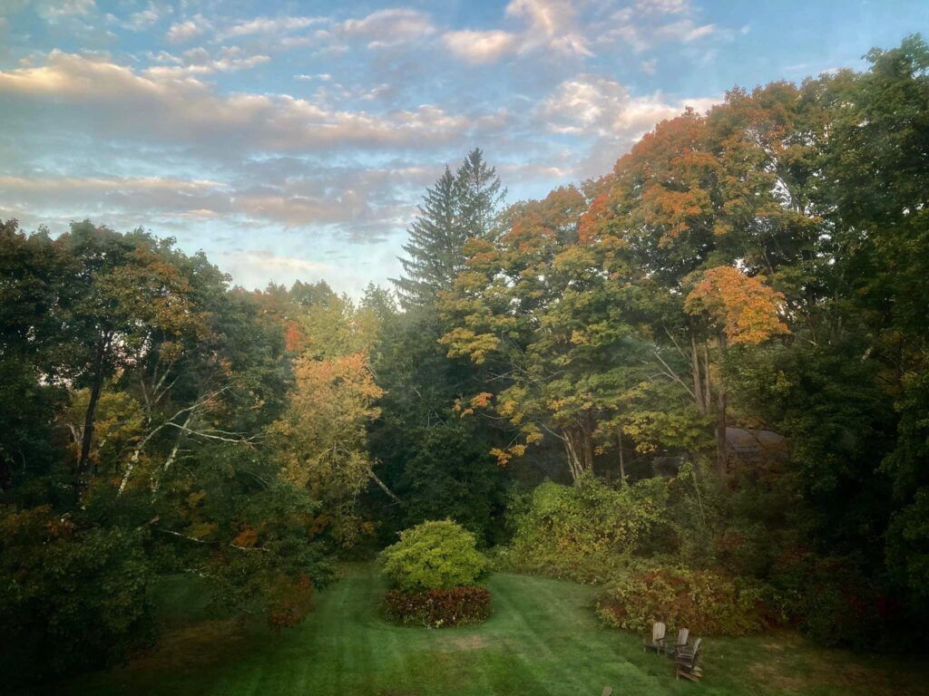 A lush green backyard surrounded by trees with a blue sky in the background.