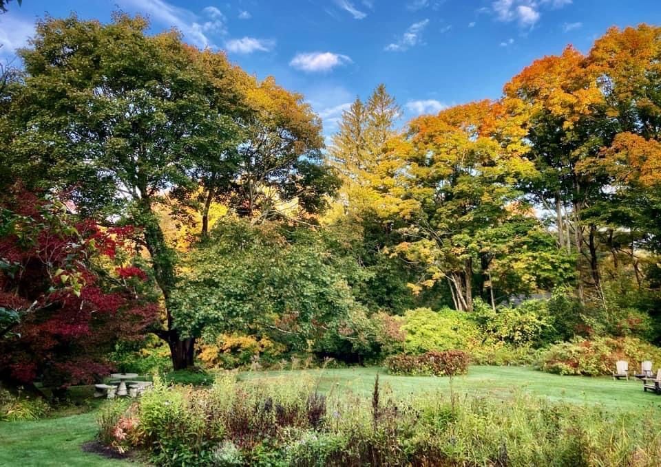A backyard with a parklike setting, with trees that show New England fall foliage