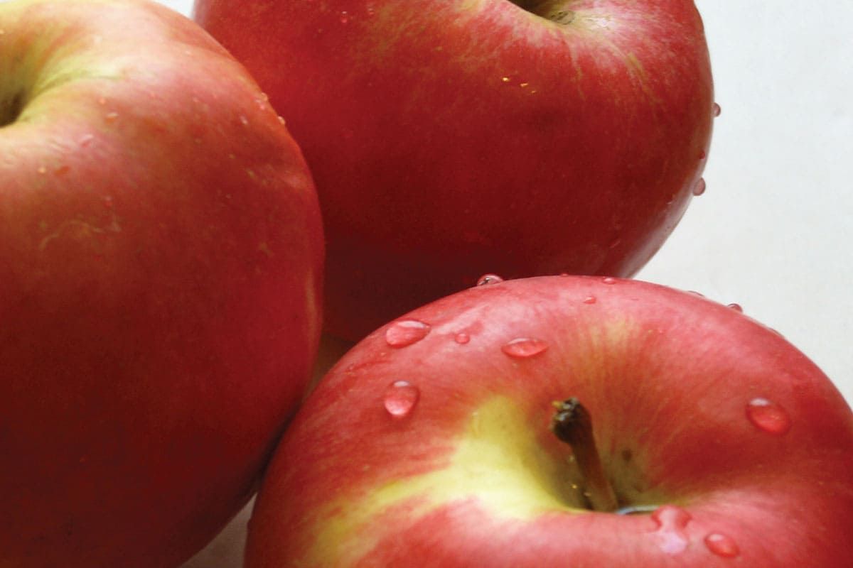 Apples