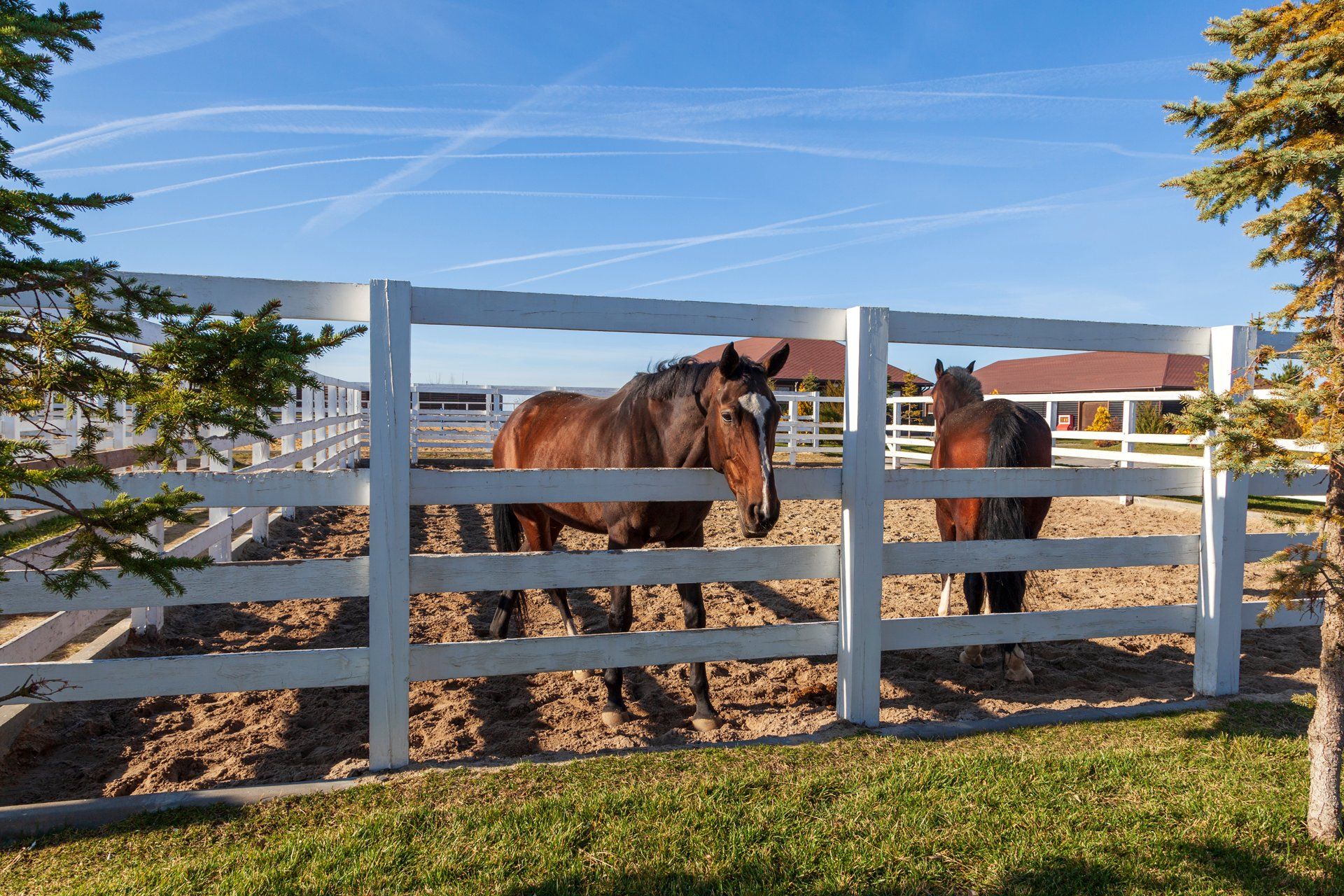 White Wooden Corrals