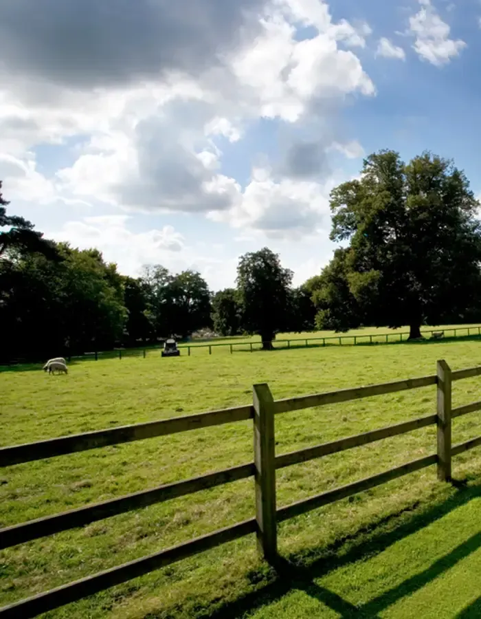 livestock fencing