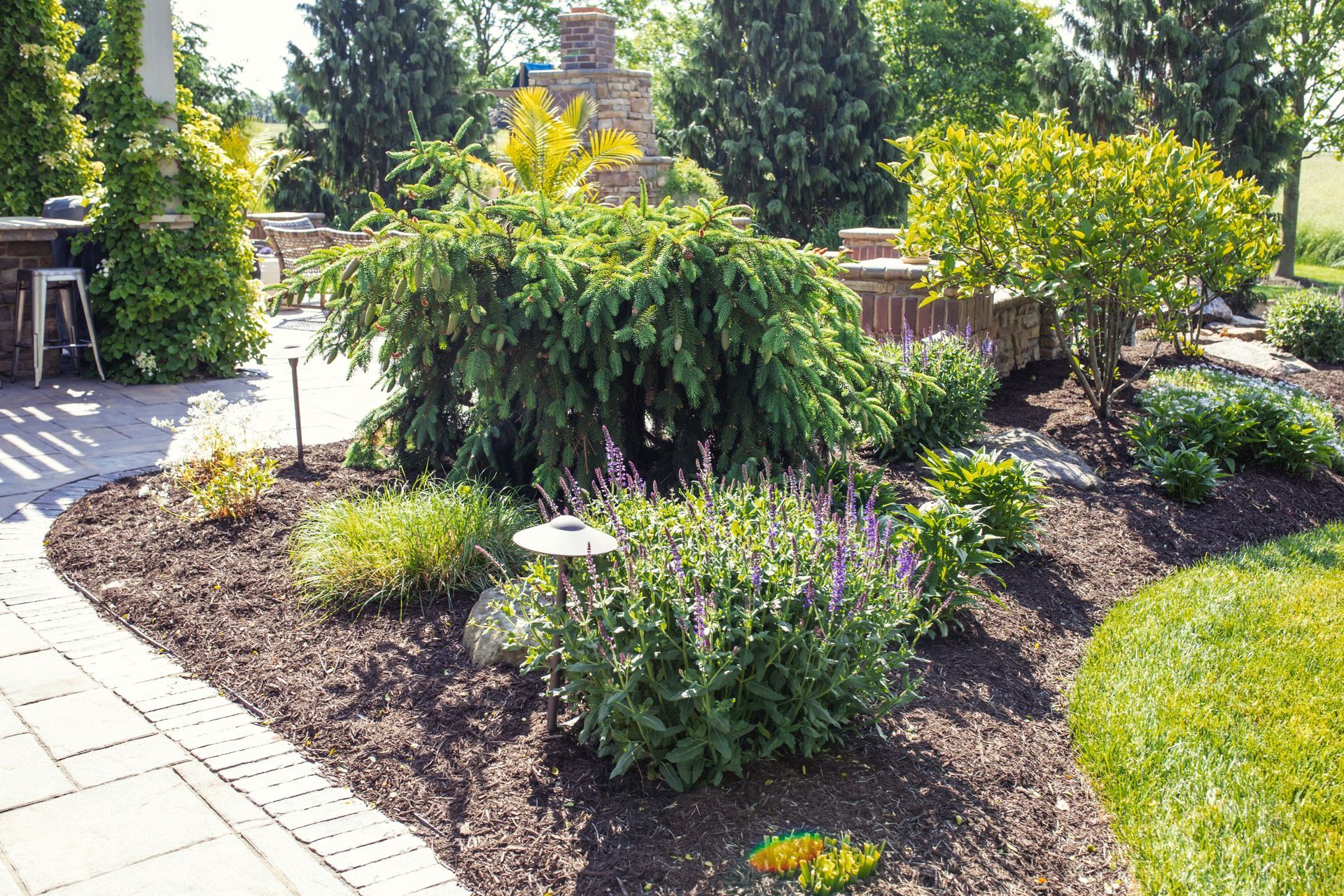Landscaped garden bed with various green shrubs, brick border, and a stone patio.