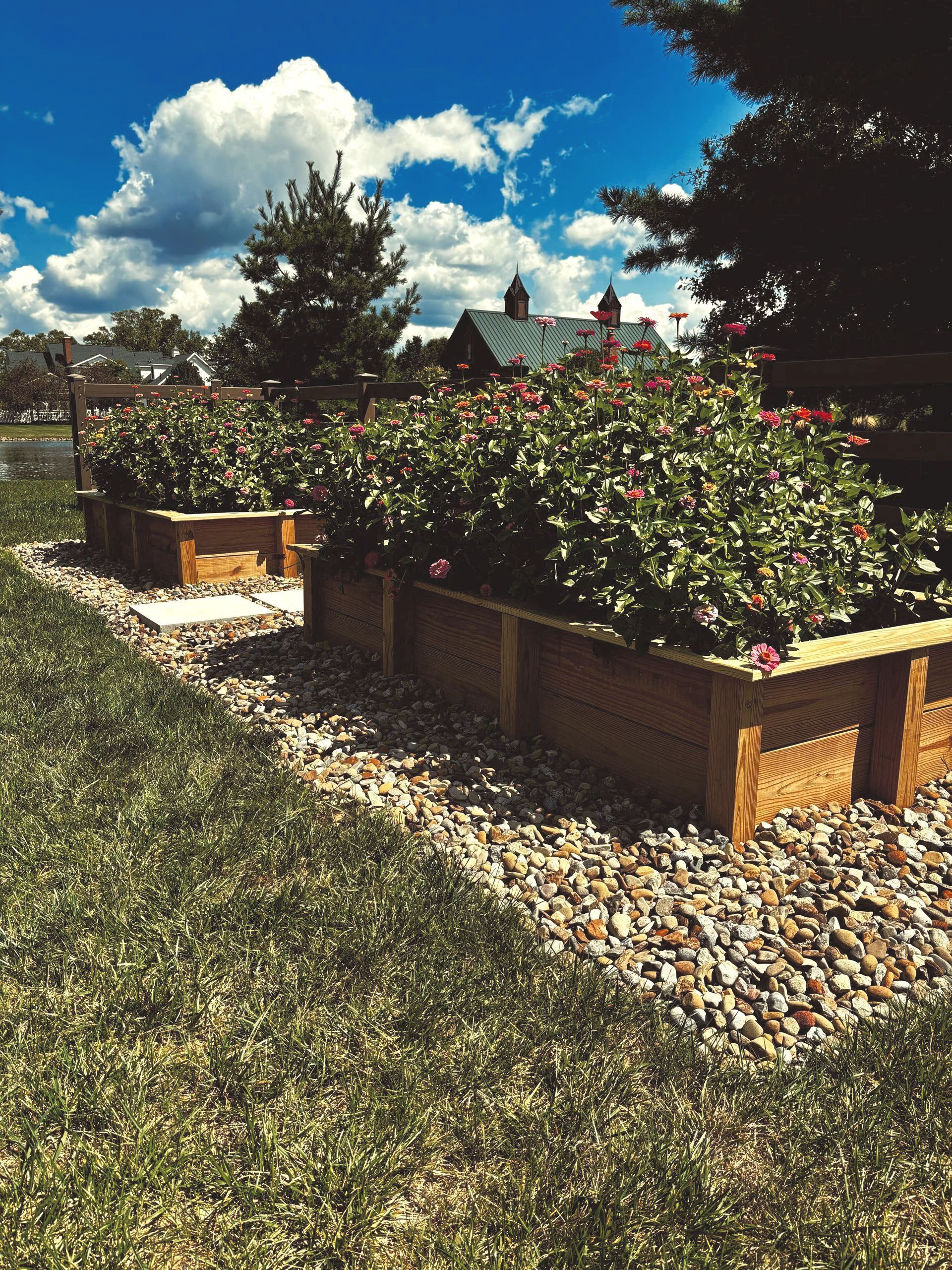 Raised garden beds filled with flowering plants, lined with gravel, under a blue sky with clouds.
