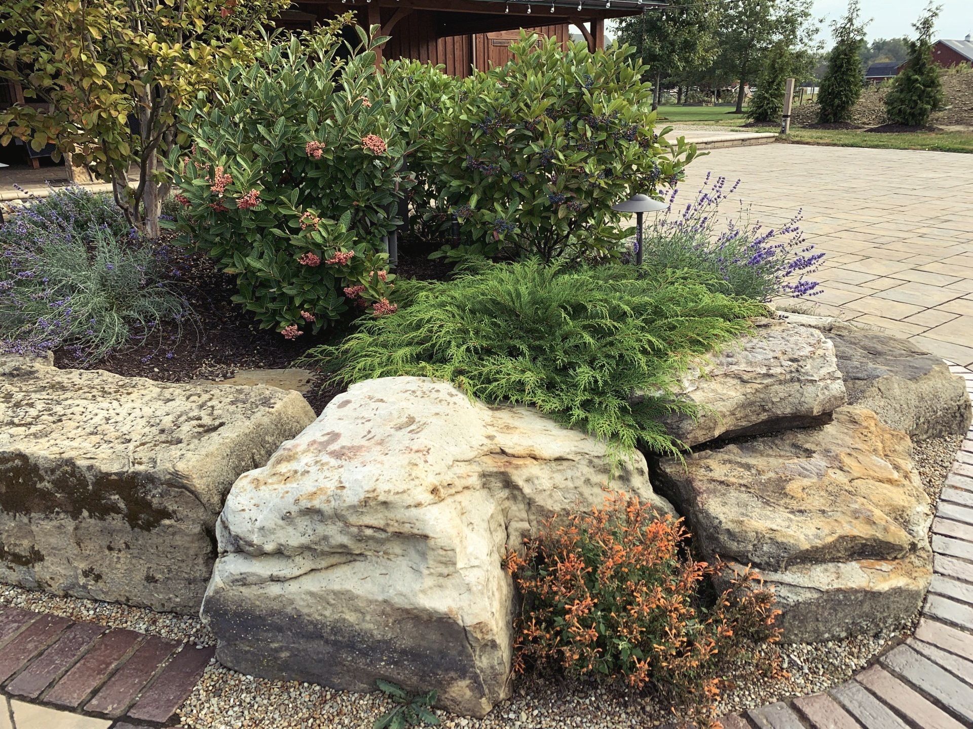 A rock garden with various green bushes and small plants in front of a wooden gazebo and paved walkway.