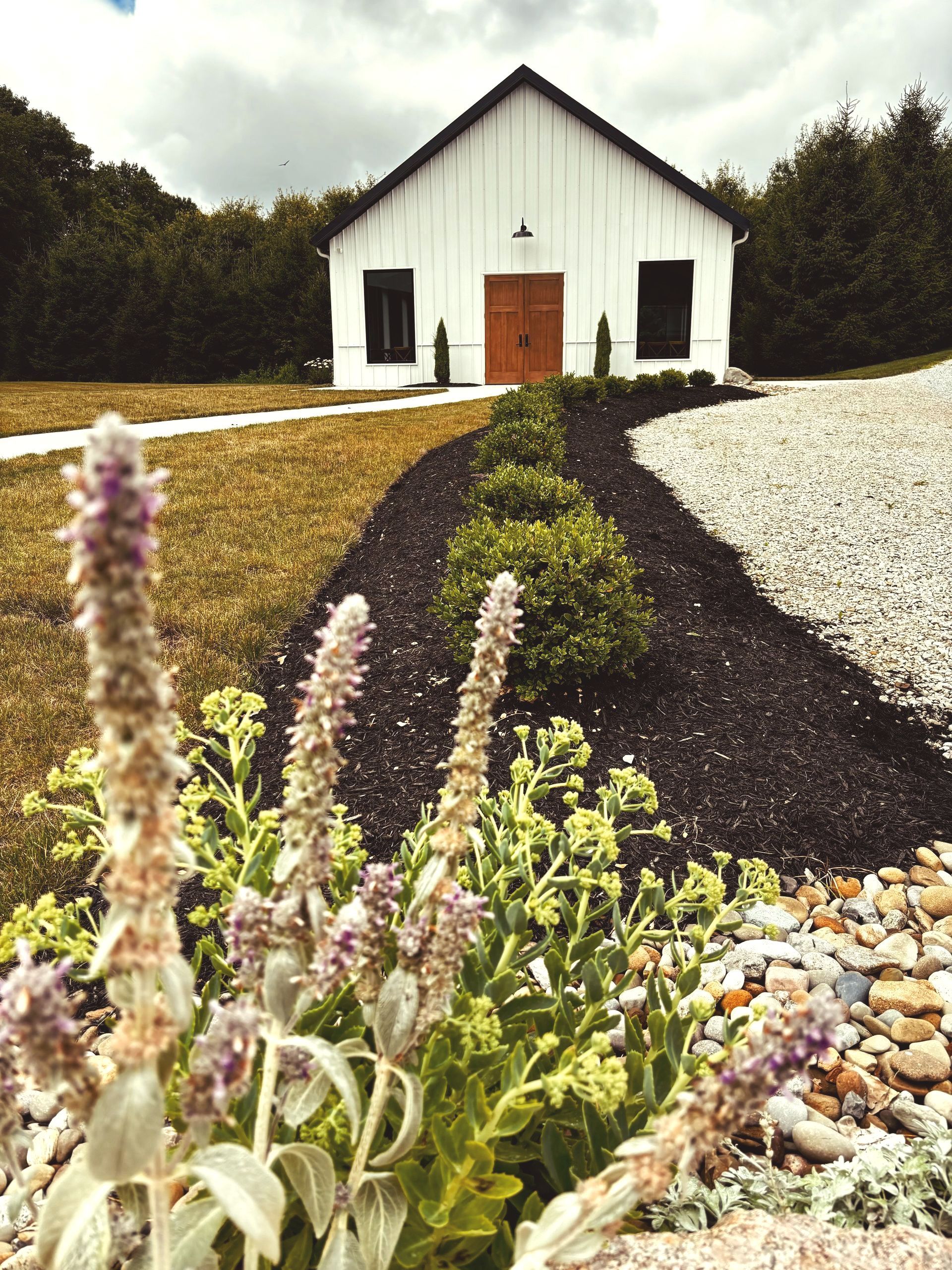 White building with brown door, flanked by shrubs and trees.  In foreground, lavender flowers and landscaping lead up to it.