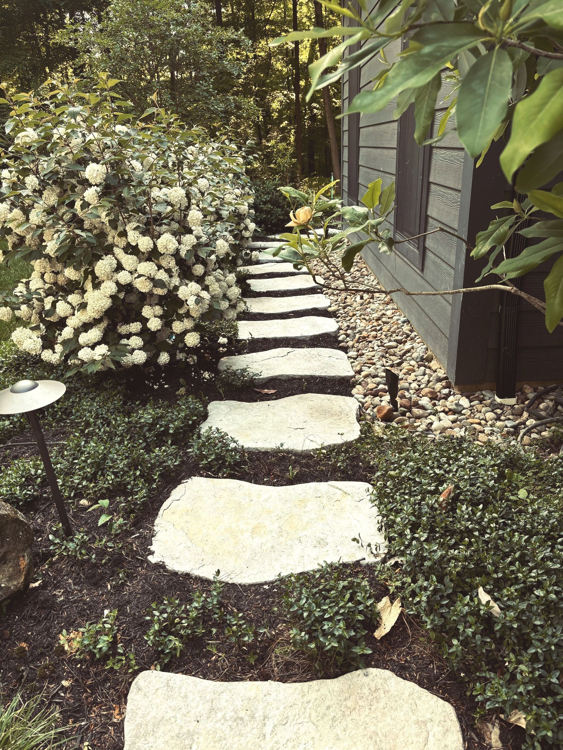 Stone path winds through a garden, flanked by green foliage and a flowering bush. 
