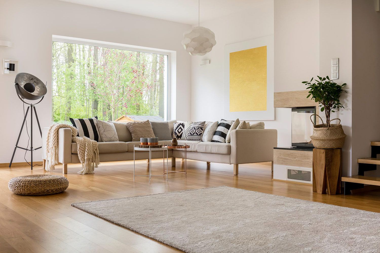 Living Room with Wooden Flooring and Carpet