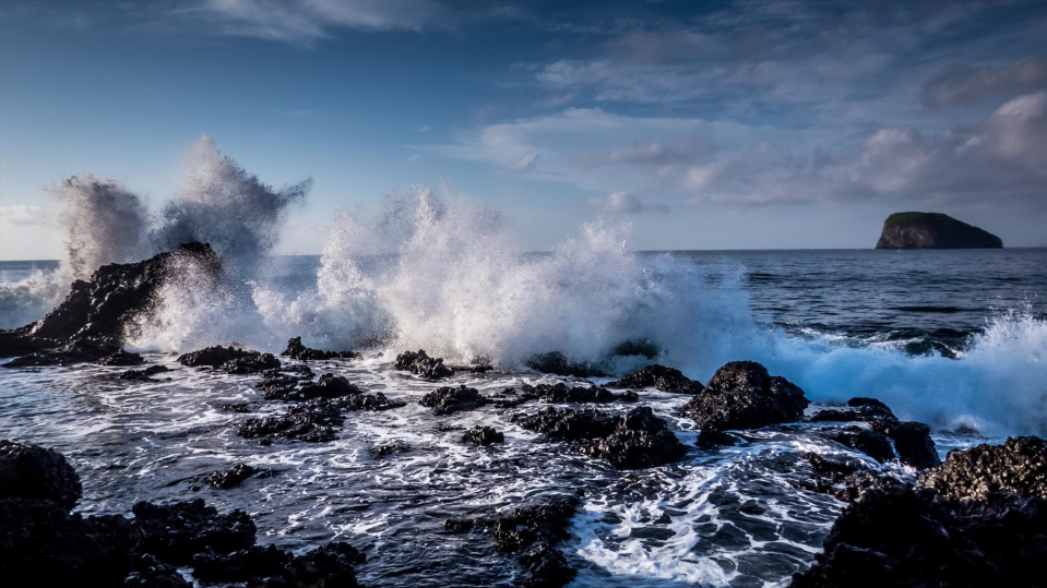 BCAB launches NEW Surf and Swell eLearning