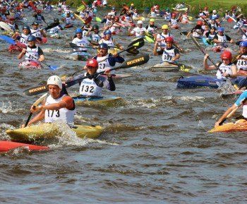 A group of people are rowing kayaks down a river.