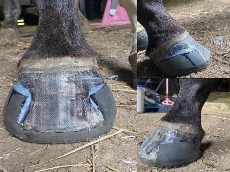 A close up of a horse 's feet with a rubber sole