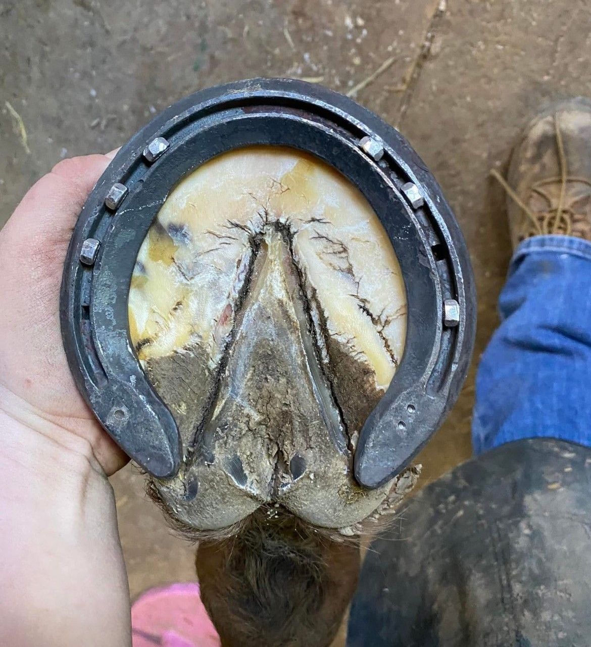 A person is holding a horseshoe in their hand