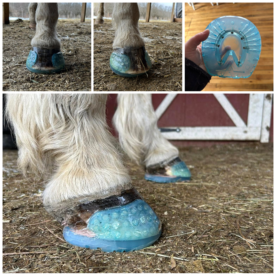 A horse 's hoof is covered in a blue rubber cushion.