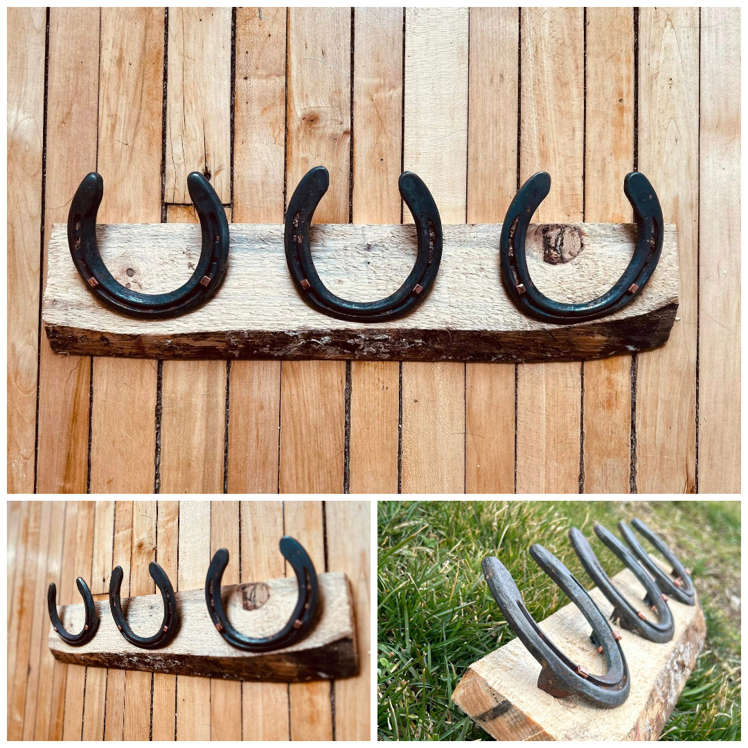 Three horseshoes are sitting on a wooden shelf.