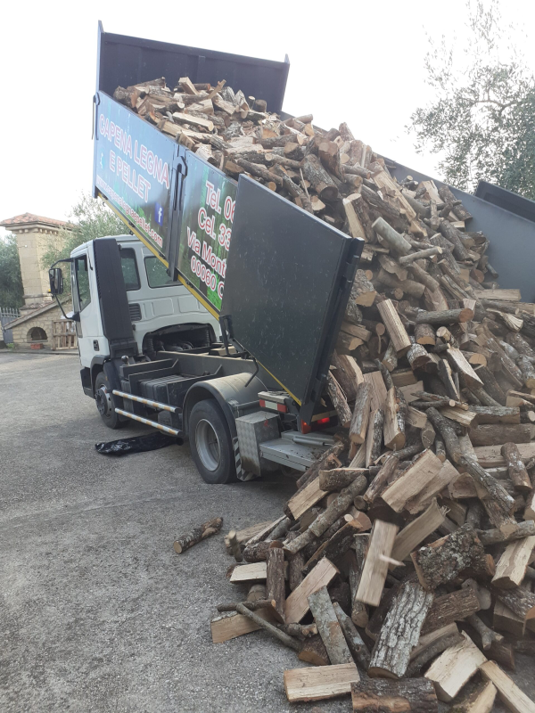 Un camion ribaltabile bianco scarica un grosso carico di legna da ardere tagliata su un terreno ghiaioso.