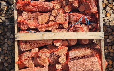 Un pallet di legno pieno di fasci di legna da ardere tagliata, avvolti in una rete metallica arancione, sullo sfondo di tronchi.