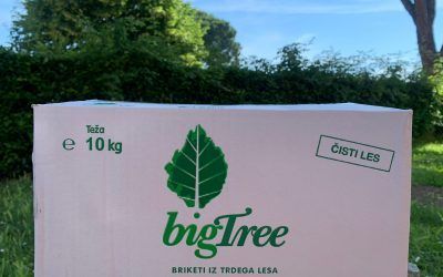 Una scatola da 10 kg di bricchette di legno duro