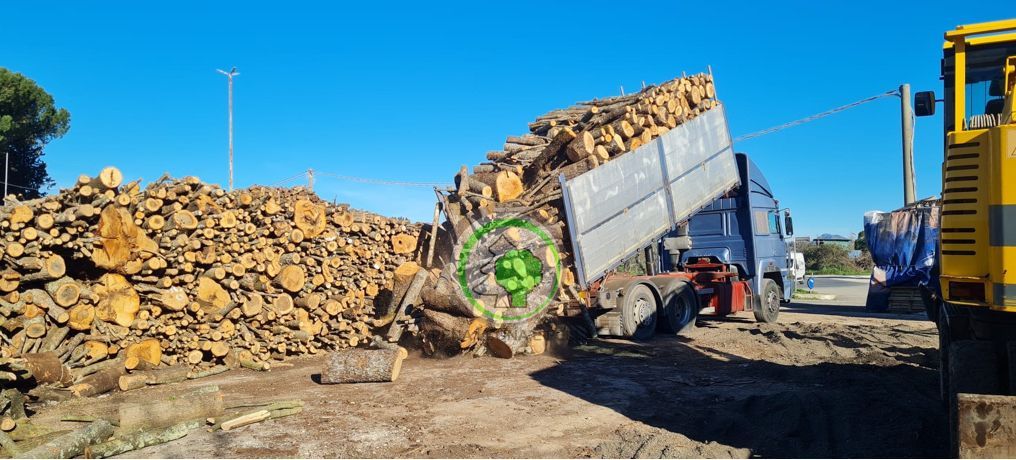 Un camion ribaltabile blu scarica un grosso mucchio di tronchi tagliati vicino a un campo, sotto un cielo azzurro e limpido.