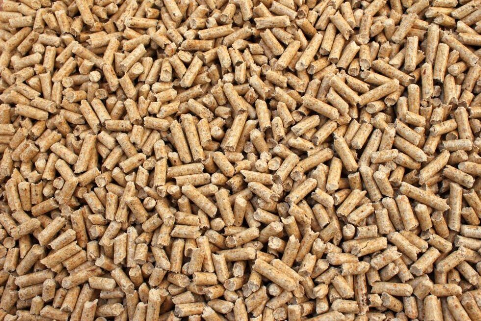 Vista ravvicinata di un grande mucchio di pellet di legno cilindrici, di colore marrone chiaro, utilizzati come combustibile.