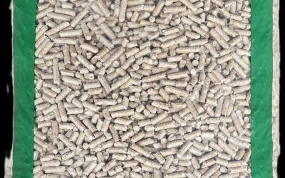 Primo piano di un sacchetto di plastica trasparente contenente pellet di legno cilindrici di colore chiaro, bordato da un tessuto verde.