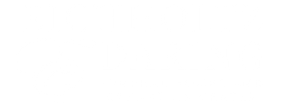 Mostly blank white screen with a thin black horizontal line near the bottom.