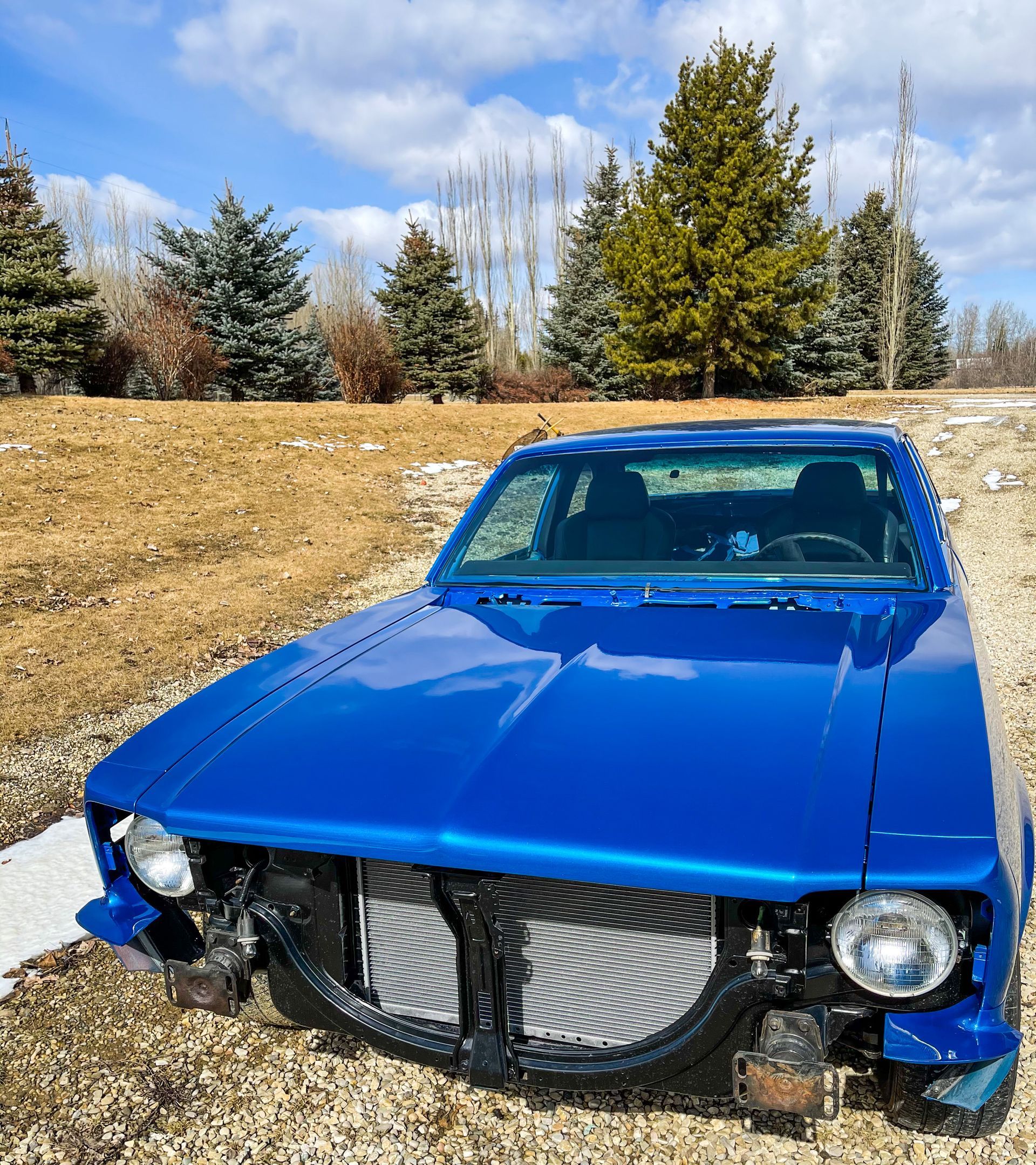 A blue car is parked in a field with trees in the background