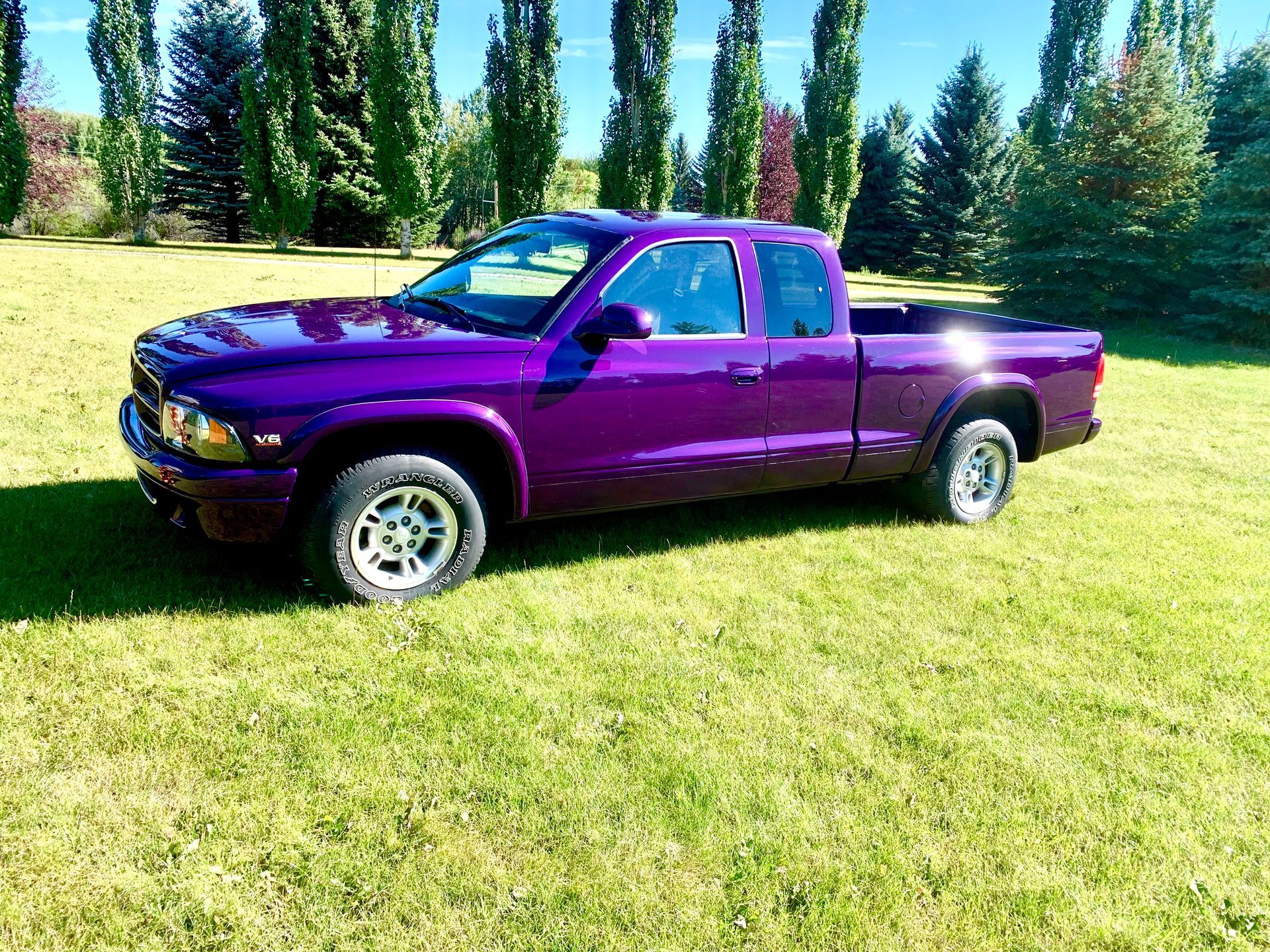 A purple truck is parked in a grassy field.