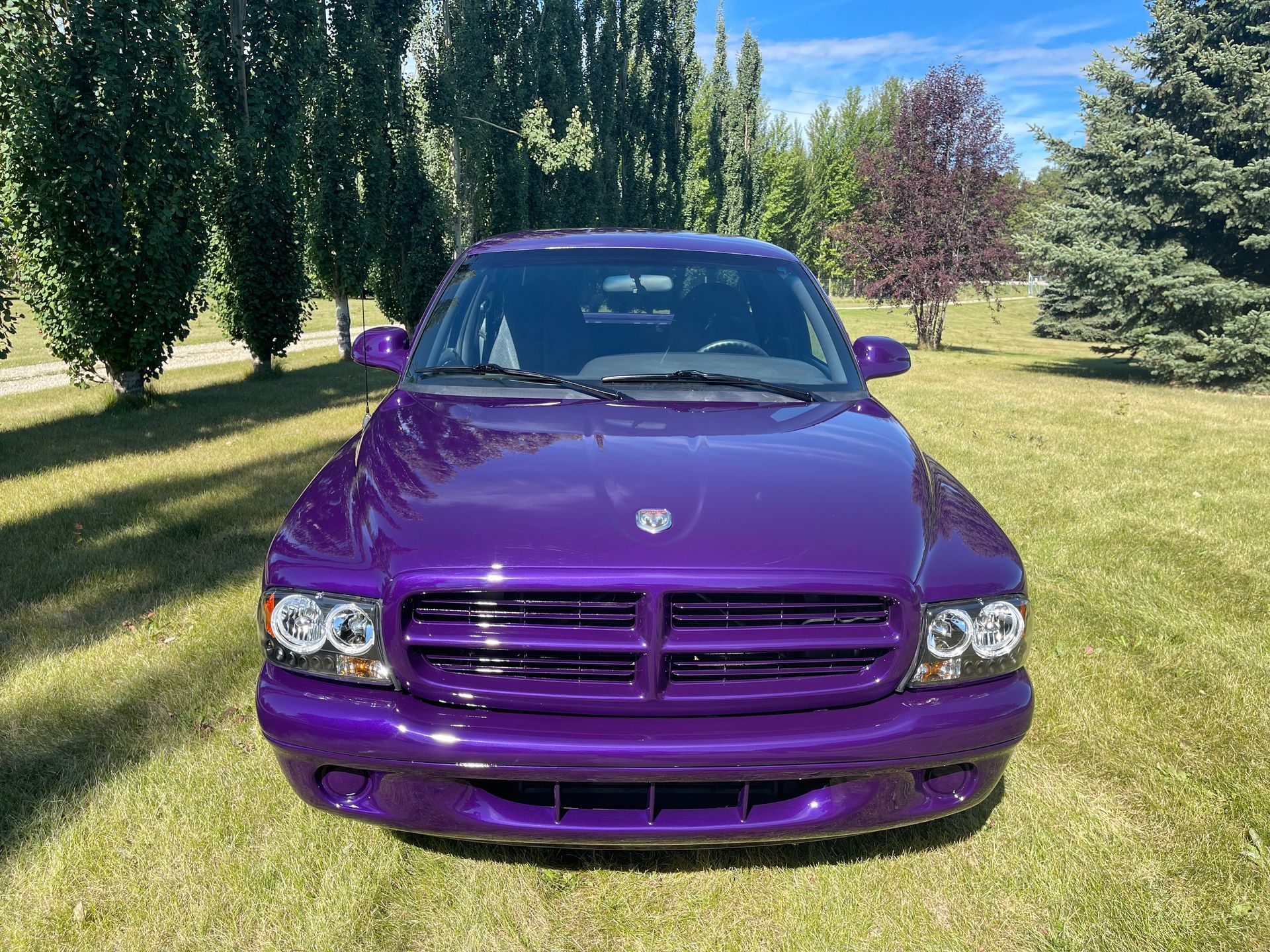 A purple dodge ram truck is parked in a grassy field.