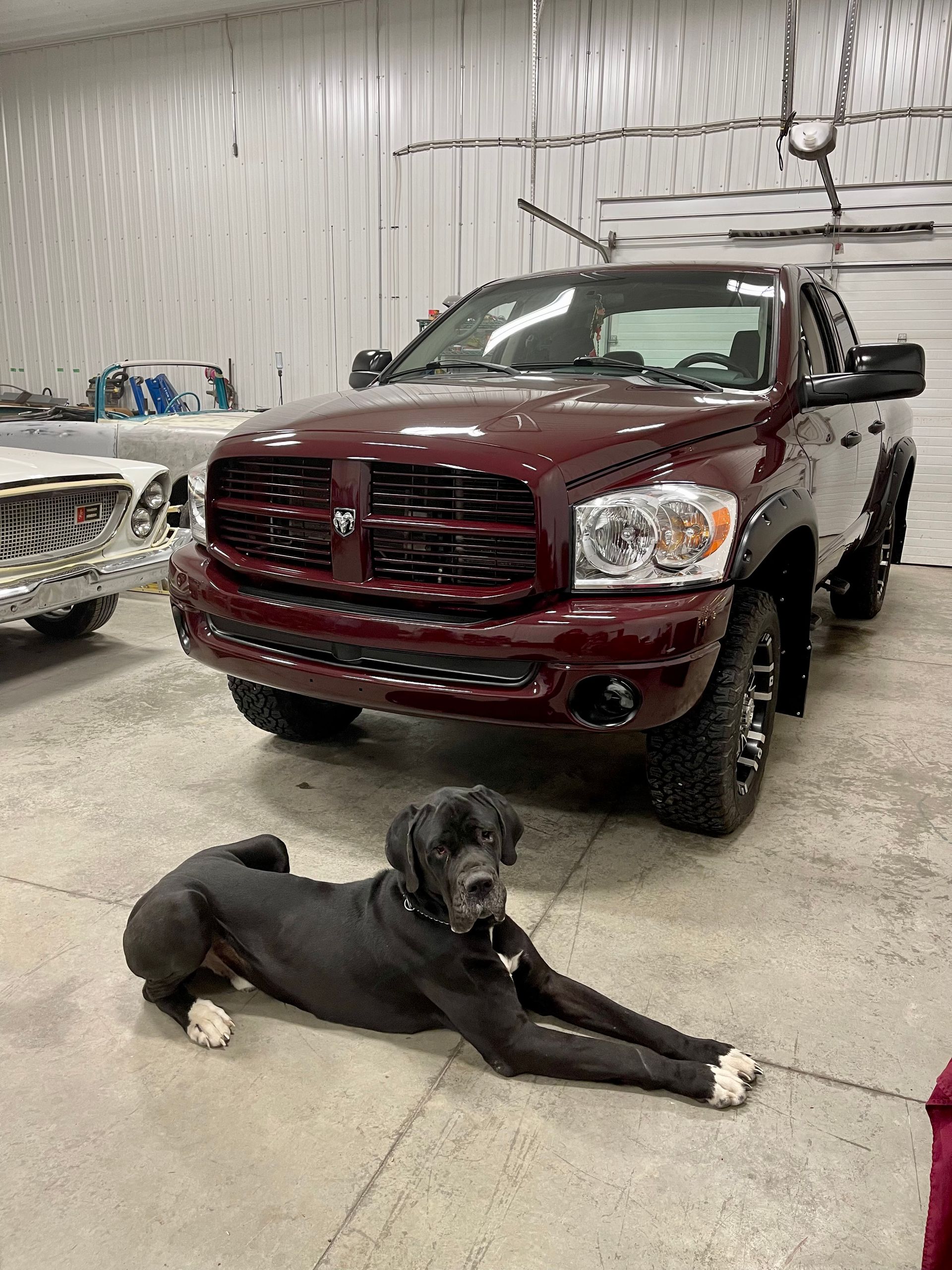 A dog is laying in front of a red truck in a garage.