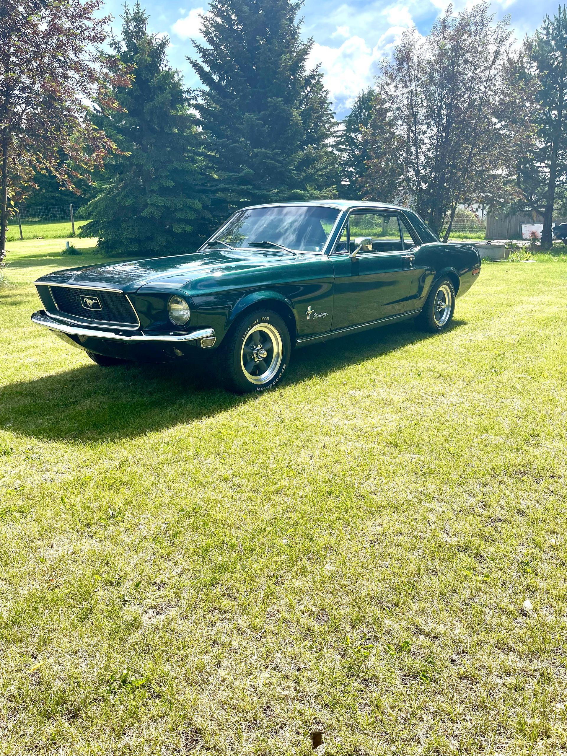 A green mustang is parked in a grassy field.