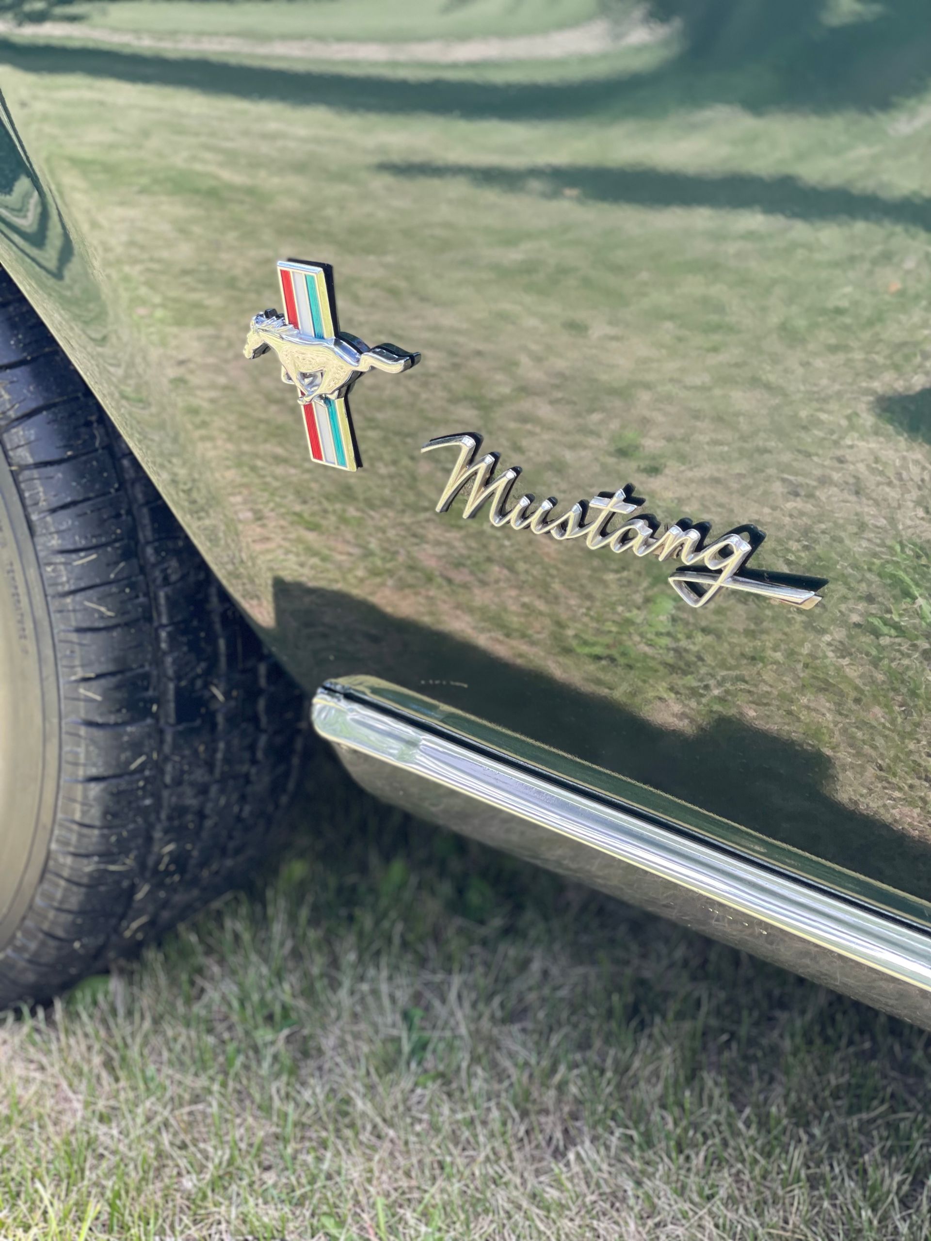 The side of a green mustang is parked in the grass.