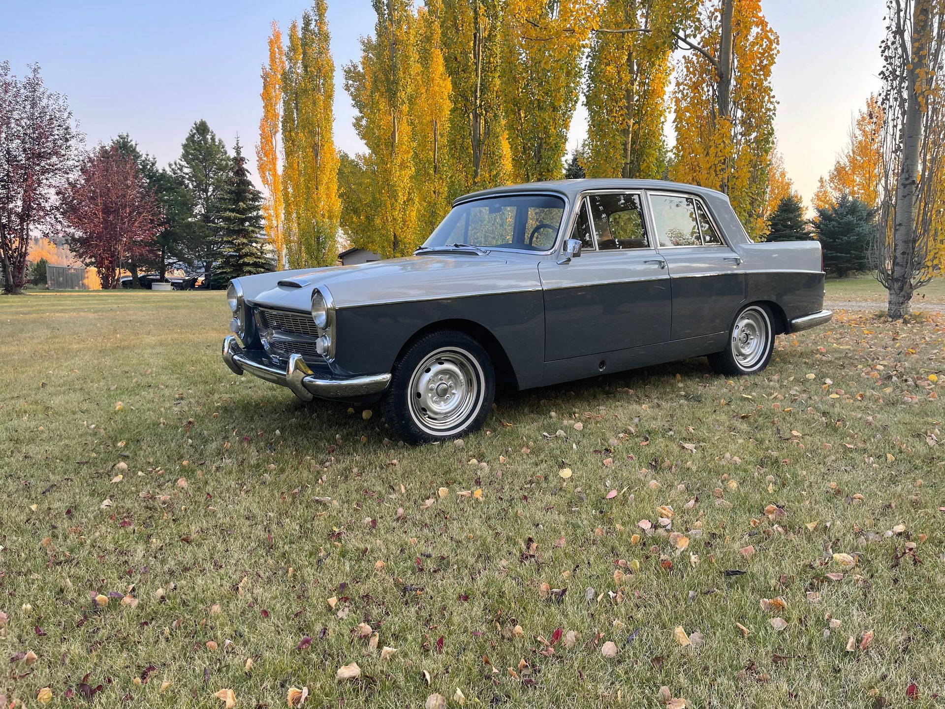 An old car is parked in a field with trees in the background.