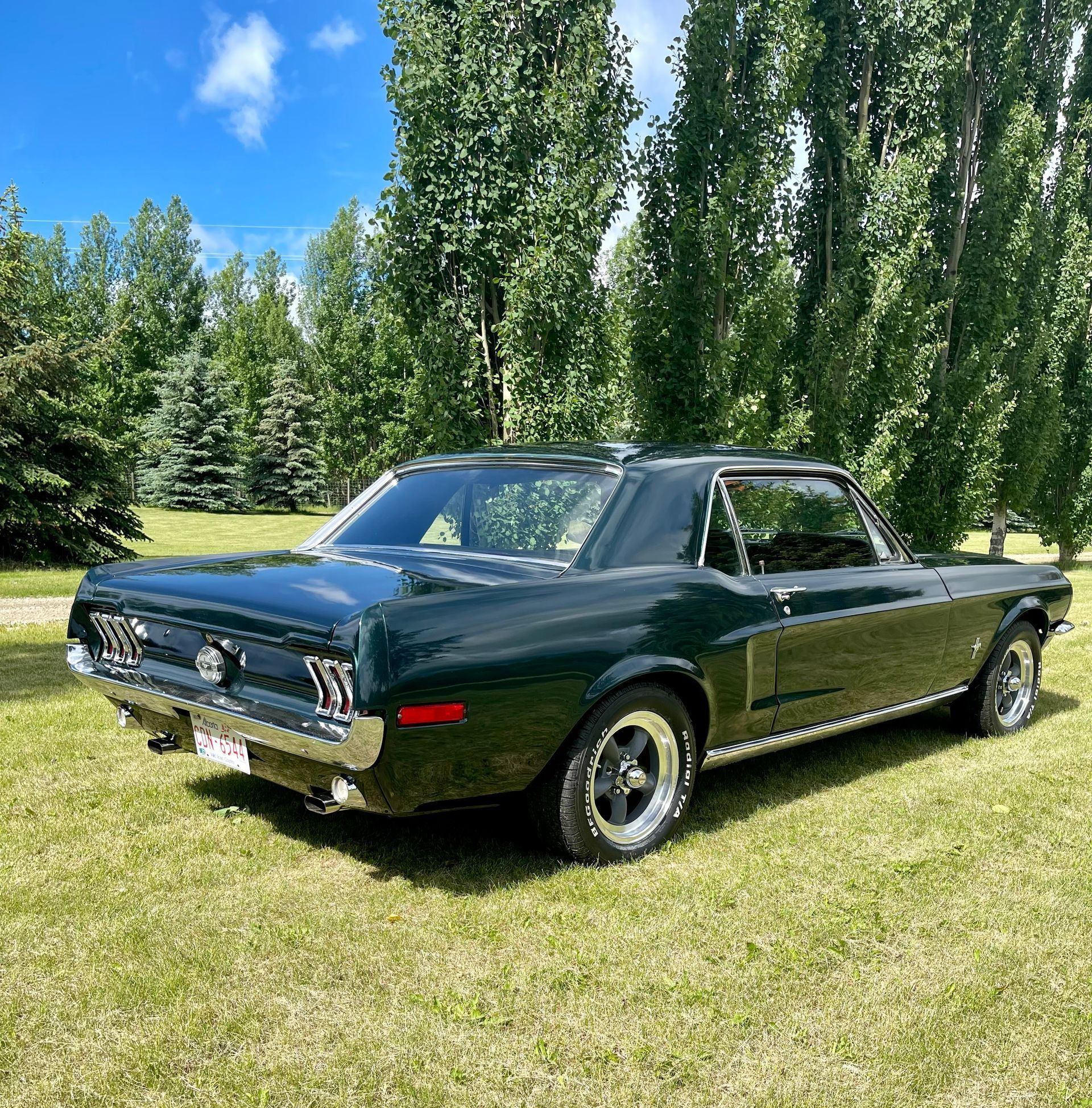 A black mustang is parked in a grassy field with trees in the background.