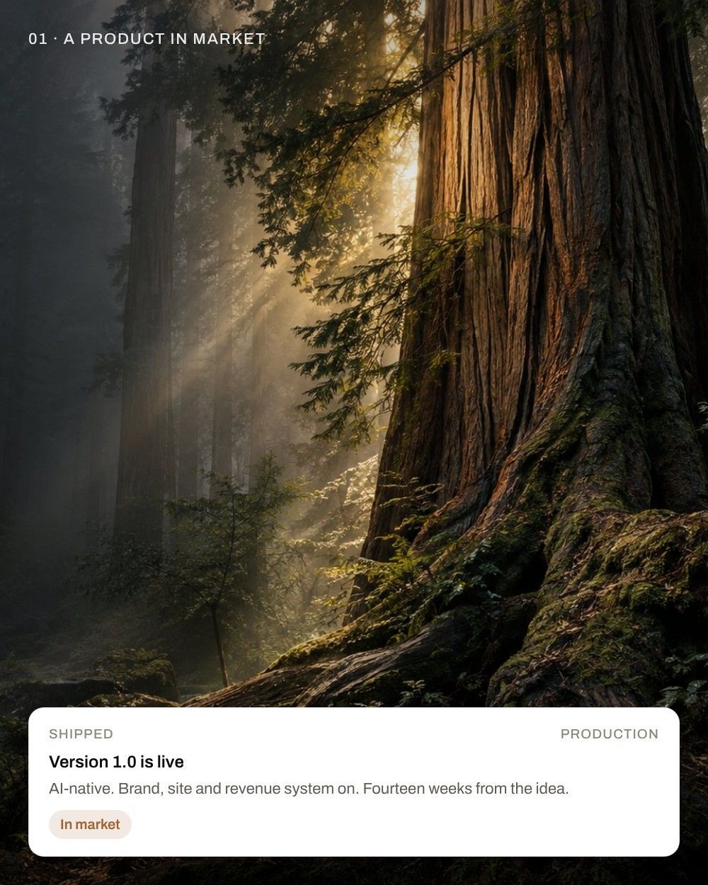 Redwood trunk in light, a product in market
