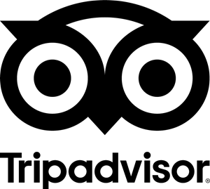 Tripadvisor-logotyp: svart uggleikon över ordet